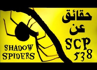  حين تجتمع فوبيا العناكب مع فوبيا الضلام الاسي بي 538 عناكب الظل