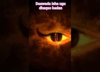 Isha Maxaa U Daawa Ah