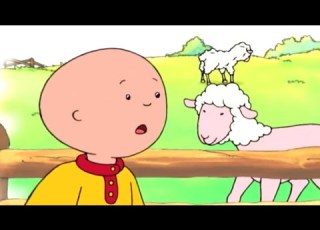  Caillou And The Sheep Caillou Cartoon