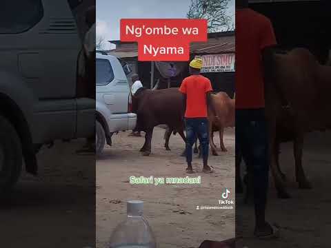 Pugu Mnadani Soko La Ng Ombe