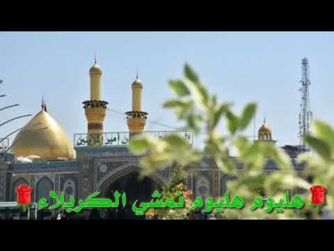 هاليوم هاليوم نمشي الكربله مبارك علينا وعليكم مولد الامام المهدي المنتظر عجل الله فرجه الشريف