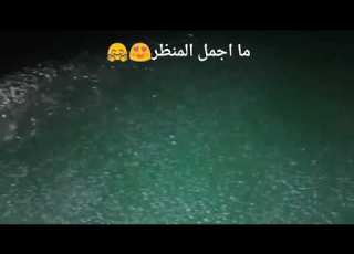  لون البحر اخضر