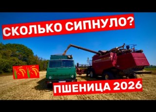  ЖНИВА 2026 ДНЕПРОПЕТРОВСКАЯ ОБЛАСТЬ