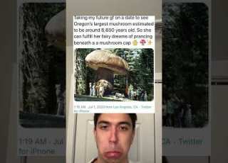  They Went To The Mushroom