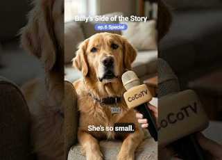  Billy S Side Of The Story
