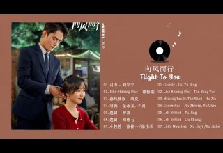 FULL PLAYLIST 向风而行 Flight To You OST 王凯 谭松韵 Wang Kai Tan Song Yun