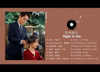 FULL PLAYLIST 向风而行 Flight To You OST 王凯 谭松韵 Wang Kai Tan Song Yun