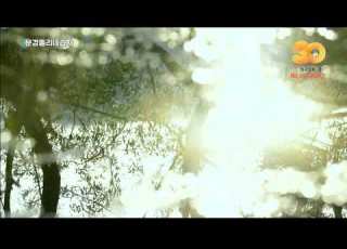 TBC ID 문경 돌리네습지 2025 07 15