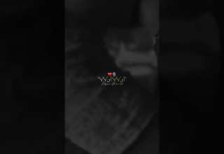 تصميم فيديوهات تبغي تحوس ودير طلة ااااتكمي زطلة أولا أولا اولا