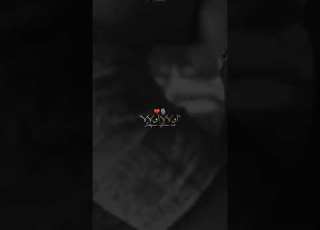 تصميم فيديوهات تبغي تحوس ودير طلة ااااتكمي زطلة أولا أولا اولا