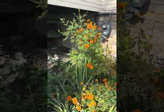 46 Eckel Rd Stairs Complete Sept 12 2025