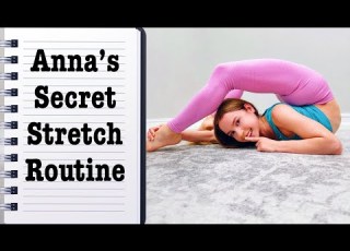 I Found The EXACT Stretch Routine I Did To Get Flexible