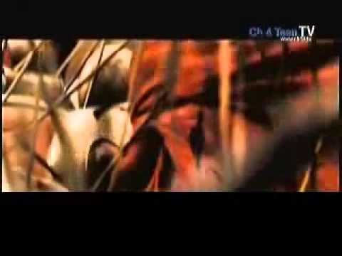 للمنيه حسينيه يافاطمه قومي الى الطفوفي