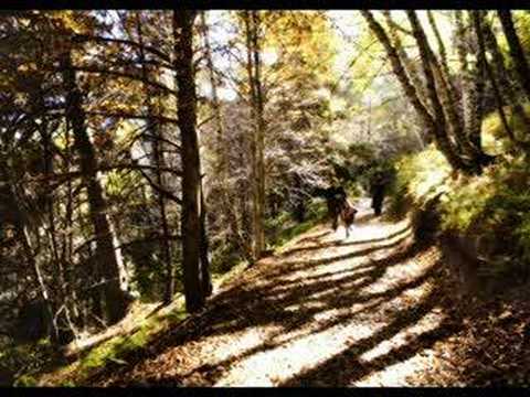 مزمور 121 رفعت عيني الى الجبال