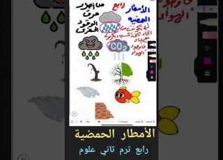 نشاط 10 التلوث وحرق الوقود الحفري للصف الرابع علوم ترم تانى منهج جديد