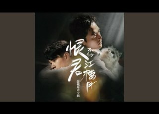 存在的未来 恨君不似江楼月 影视剧片尾曲