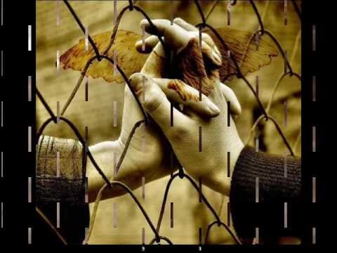 راغب علامة لو دارت الأيام