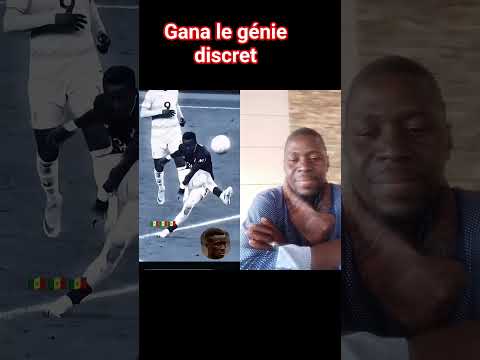 Idrissa Gana Guéye Est Le Moteur Défensif Et L équilibre Du Milieu à Everton Et En Selection