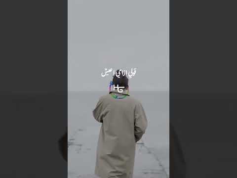 كل يوم بقول