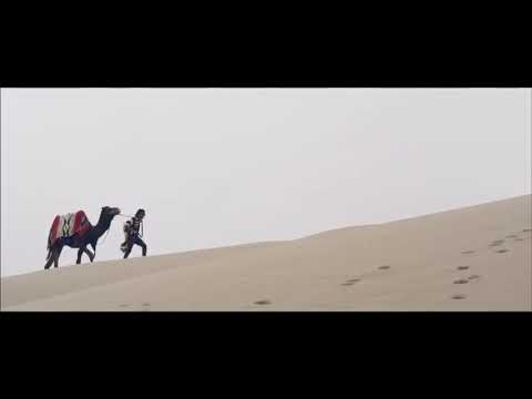 Macklemore Ryan Lewis Can T Hold Us Official Music Video