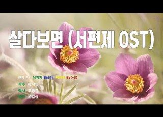 은성 반주기 살다보면 서편제OST 차지연
