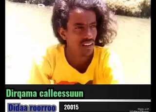 Sirba Afaan Haraa Oromoo