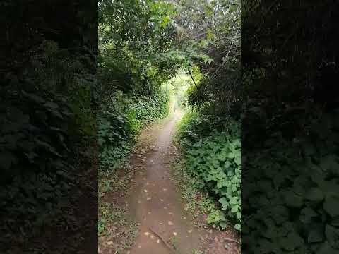 Https A Co D 0IZzPmT