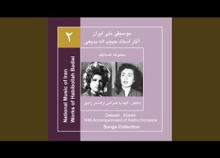  Peyman Shekan Elaheh