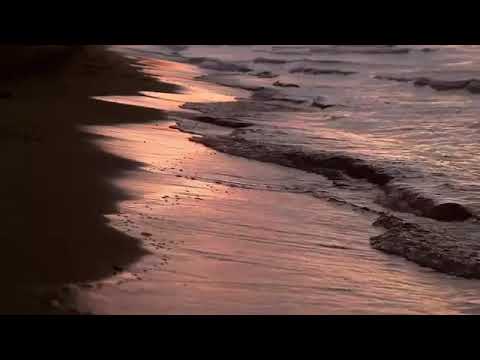 رائعة بتهوفن فور اليزا