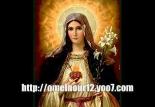 منتديات أم النور Wmv