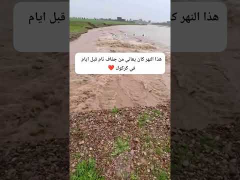 رجع الخير مثنى ناجي
