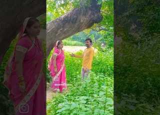  Mera Dil Na Todo Songs Shortvideos Kanhiyalal