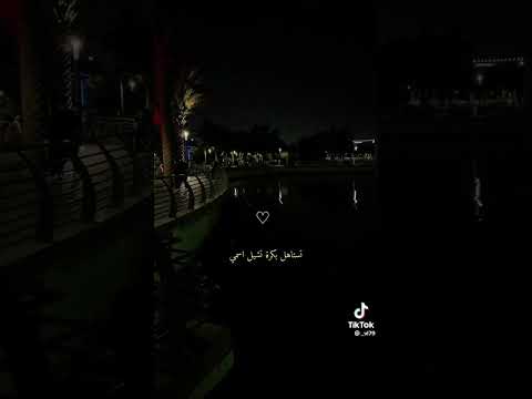 انا عايزك ترتاح ياحبيبي ومتشلش الهم للفنان احمد باتشان