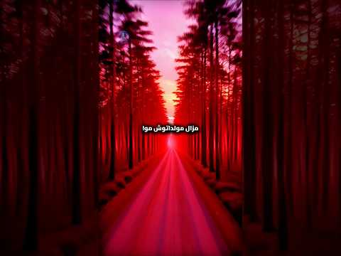 Celui Qui Veut Humilier L Algérie مزال مولداتوش مو رسالة الى كل حاقد الجزائر Viral 4k Celui Qui Veut Humilier L Algérie مزال مولداتوش مو رسالة الى كل حاقد الجزائر Viral 4k