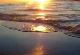 بنادى عليك فريد Wmv