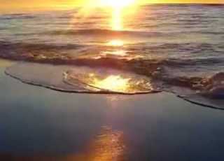 بنادى عليك فريد Wmv