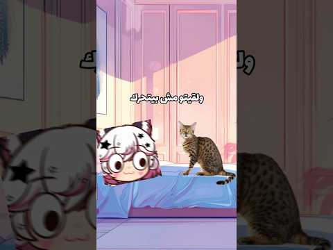 قطتي كانت تعبانة