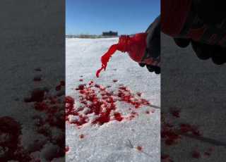 NOW This Is How You Make A PERFECT RED SNOWBALL Shorts