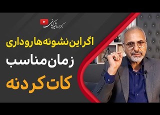 چه زمانی باید یک رابطه را تمام کرد نشانه های زمان کات کردن رابطه