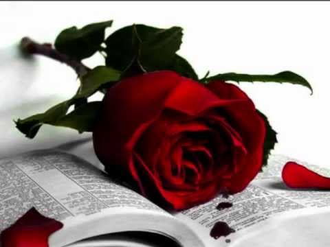 Somali New Song 2012 By Bali Aka Ba 17 Bashi Bisharo Somali New Song 2012 By Bali Aka Ba 17 Bashi Bisharo