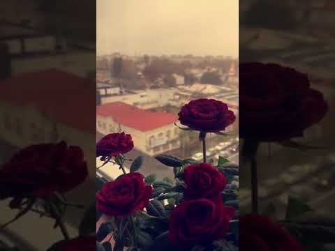 بتسرق كل اوقاتى وتشغل ياما تفكيرى