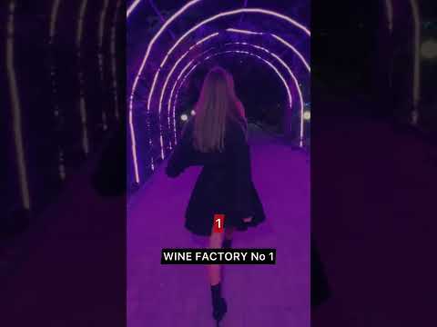 3 BEST NIGHTLIFE LOCATIONS IN TBILISI