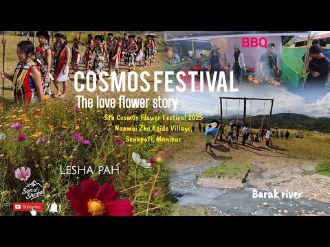 Cosmos Flower Festival The Love Flower Story 5th Cosmos Festival 2025 Naamai Zho Senapati Manipur