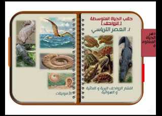 السلم الجيولوجى الجيولوجيا التاريخية الباب الأول 3 ثانوى