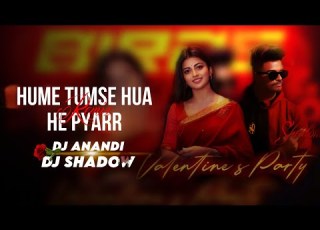  Hume Tumse Hua Hai Pyar Remix Udit Narayan Alka Yagnik Mix By Dj Shadow X Dj Anandi