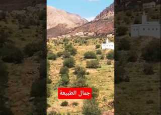  طبيعة ومغامرة Shorts الطبيعة مغامرة حبال Nature Adventure