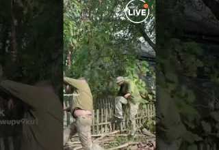 ТЦК охотится на призывников