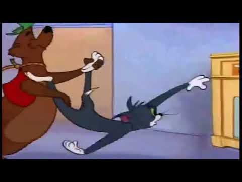 شيله الوصل بيني وبينك مسرعه