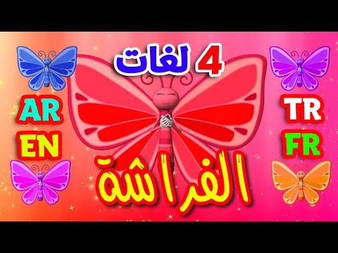 الفراشة باللغات الأربع العربية الإنجليزية التركية الفرنسية طيور بيبي Toyor Baby