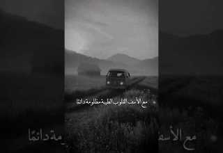 القلوب الطيبة مظلومة